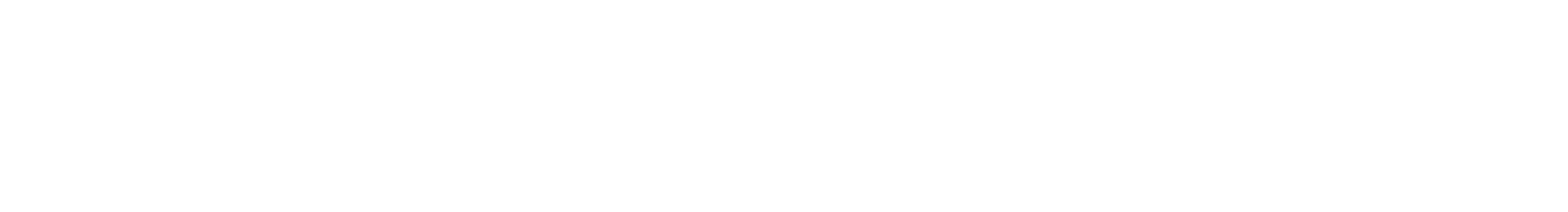 FONTANA Chemisier